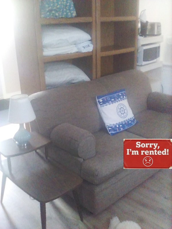 bachelor apartment room